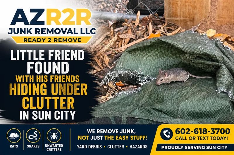 Cluttered Junk and Debris Piles