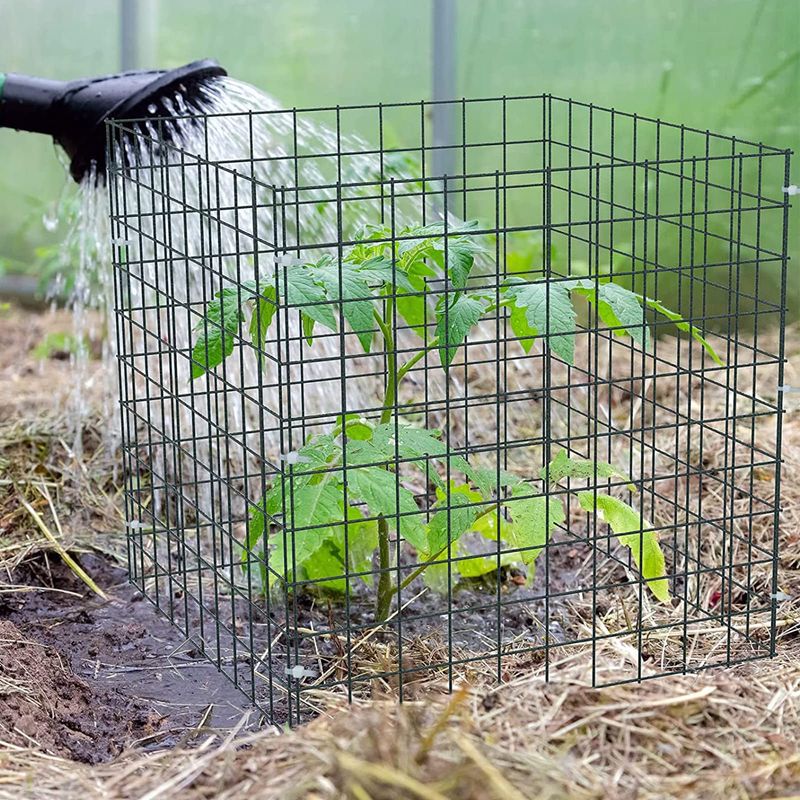 Build a Chicken Wire Cage