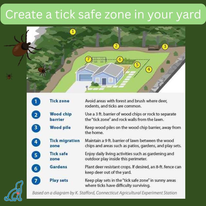 Create Separation Between Lawn and Wooded Habitat