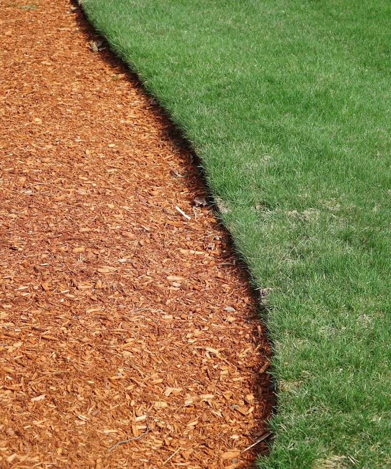Create a low-cover play zone instead of trusting one shrub