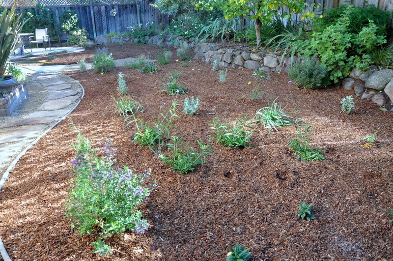 Create a small, managed beetle habitat patch