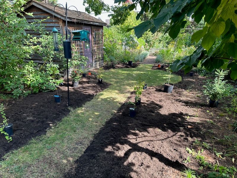 Create a small patch of accessible, undisturbed soil