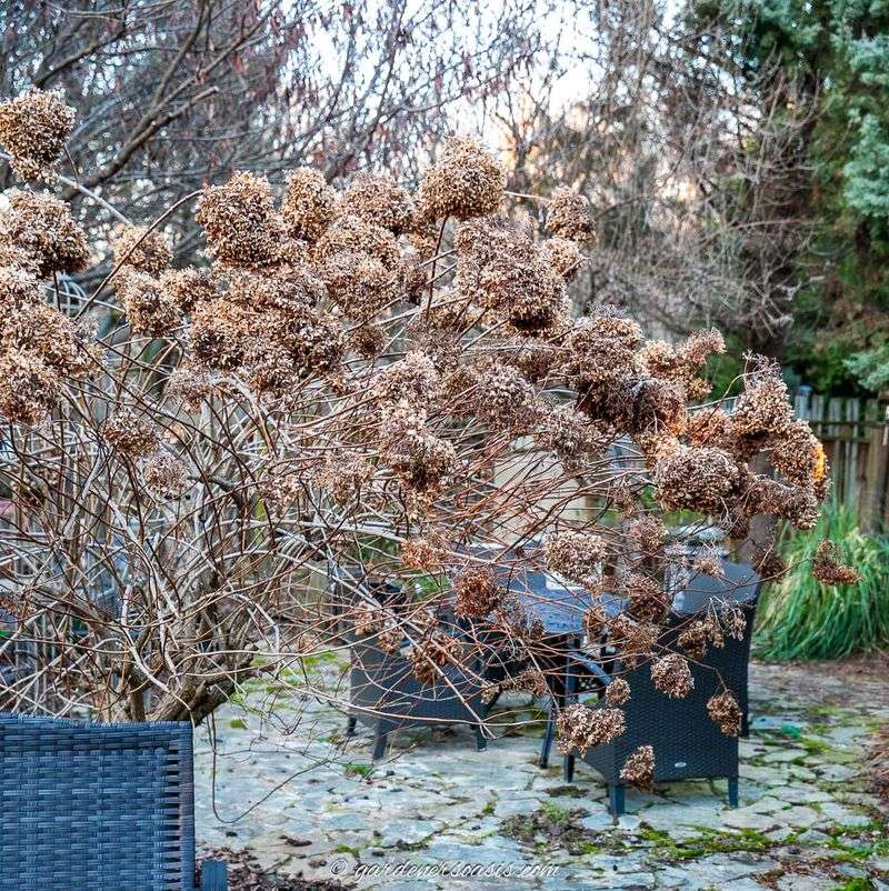 The Fall Cleanup Habit That Backfires