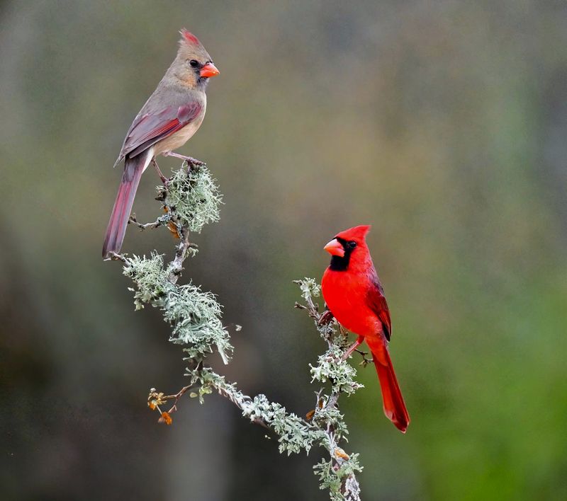 Personal meaning can coexist with biological uncertainty