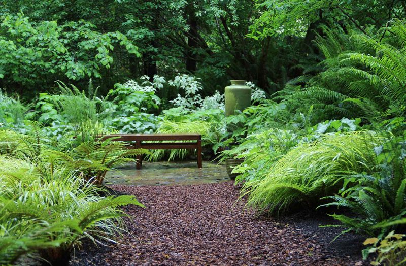Build a Damp, Shady Corner