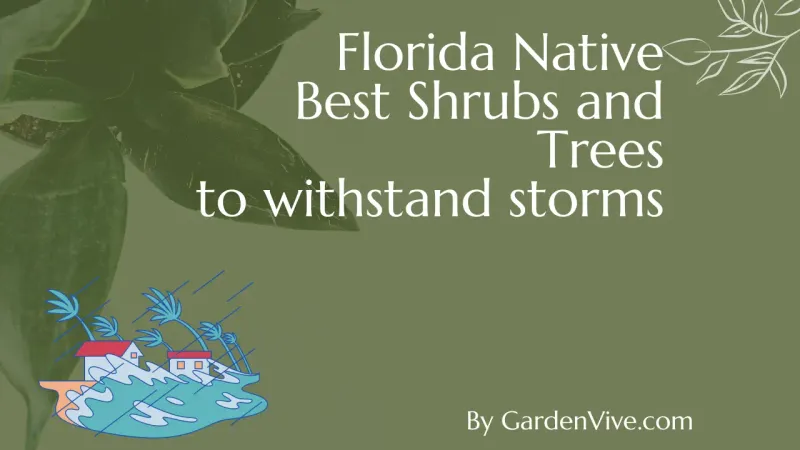Do not mistake tolerance for storm or flood protection Do not mistake tolerance for storm or flood protection