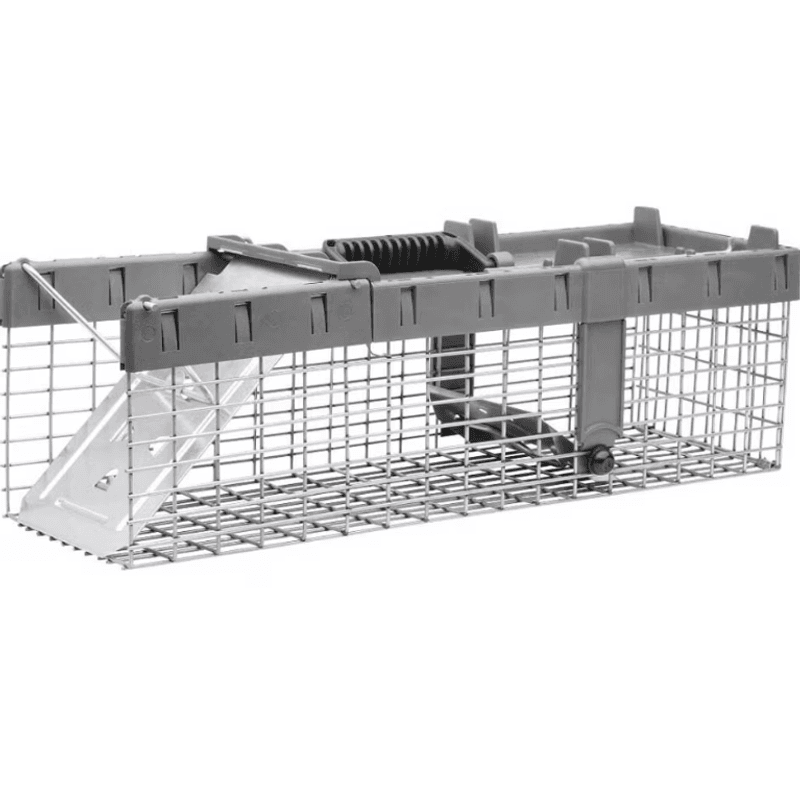 Escalation carries safety, welfare, and legal complications Escalation carries safety, welfare, and legal complications