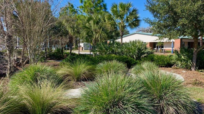 Fakahatchee Grass Fakahatchee Grass