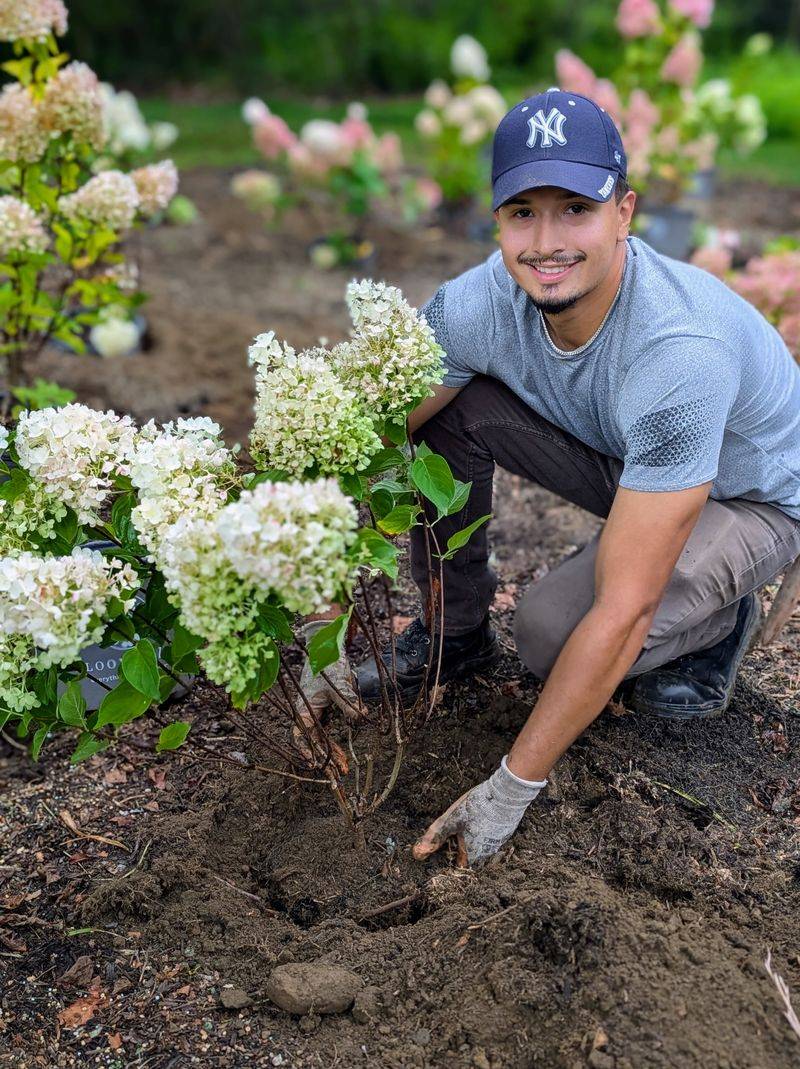 Plant in Well-Draining Soil