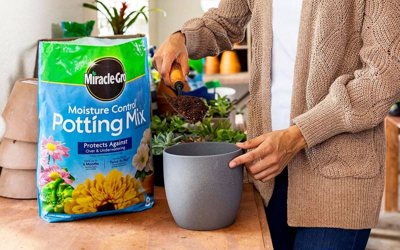 Finish with quality mix, water, and nutrients Finish with quality mix, water, and nutrients