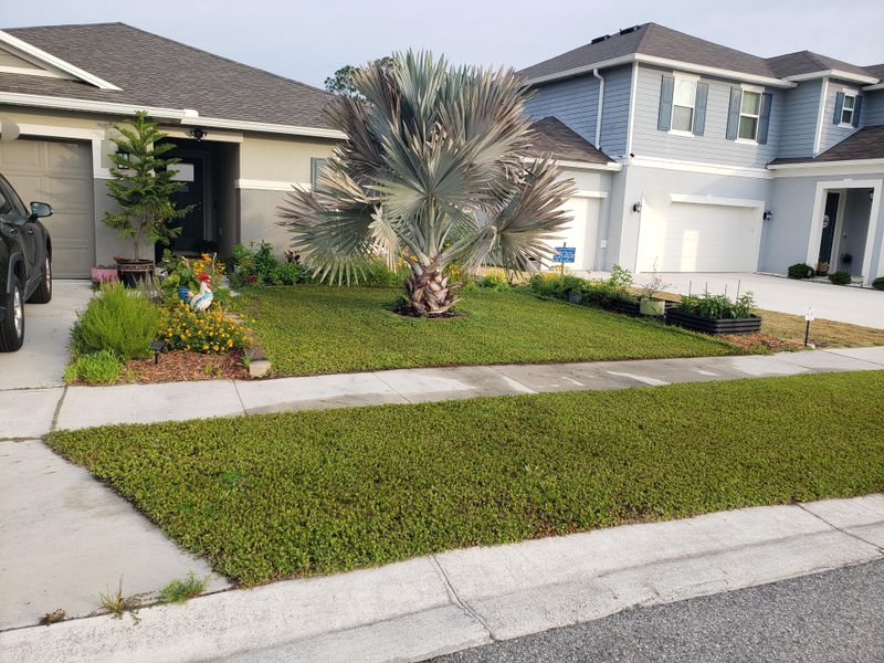 Florida Law Protects a Landscaping Approach, Not Frogfruit Alone
