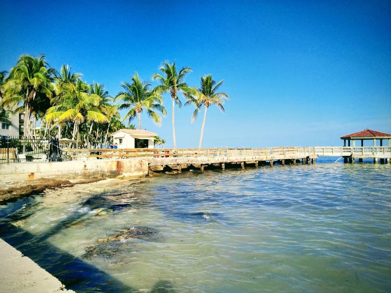 Florida as the vine-friendly stage