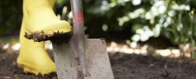 Compacted Soil Along Walkways and Paths