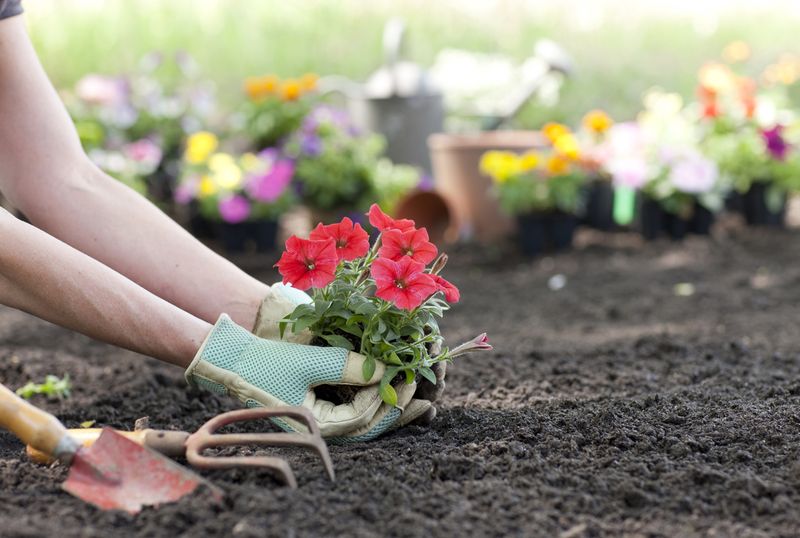 Use Well-Draining Soil