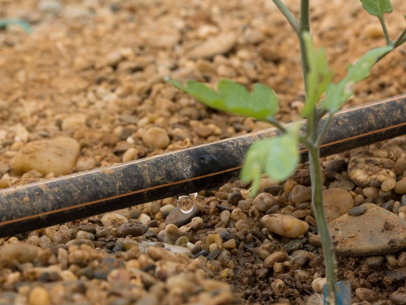 Redesign irrigation before changing the landscape