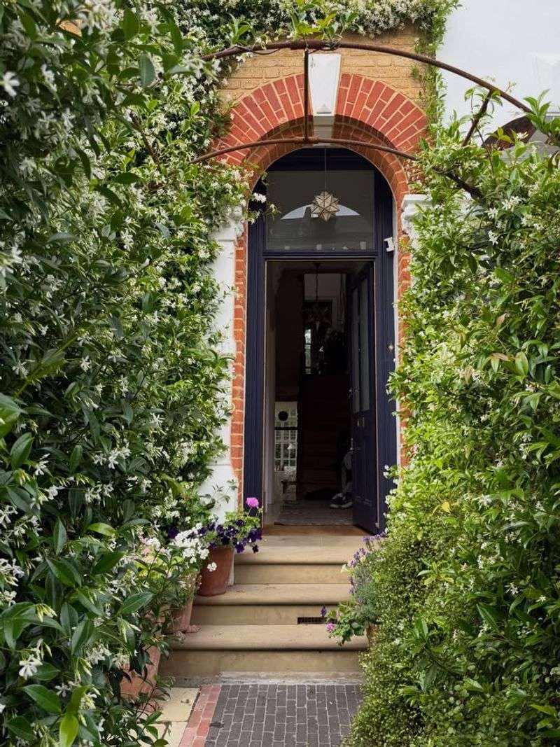 Give the vine a dedicated support and enough clearance Give the vine a dedicated support and enough clearance
