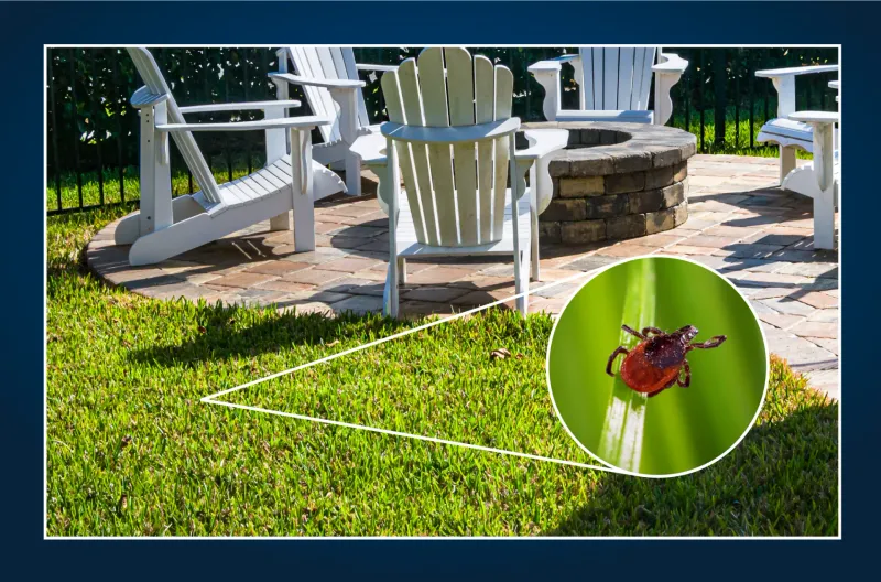 Pair the plant with measures that reduce real exposure