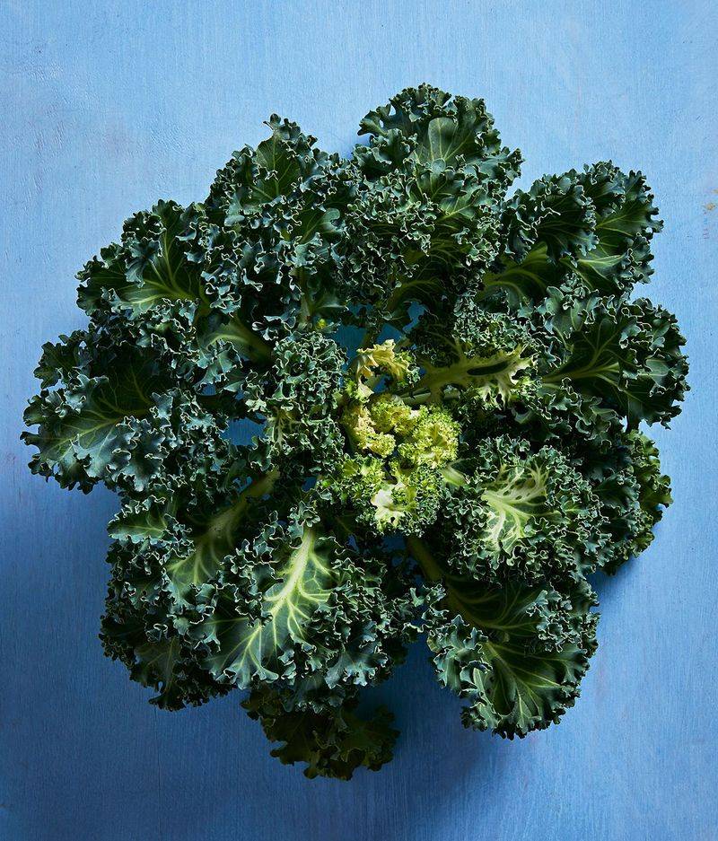 Harvest young and outer leaves for repeated kitchen use Harvest young and outer leaves for repeated kitchen use