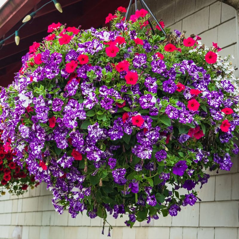 Small Habits That Keep Baskets Full All Season