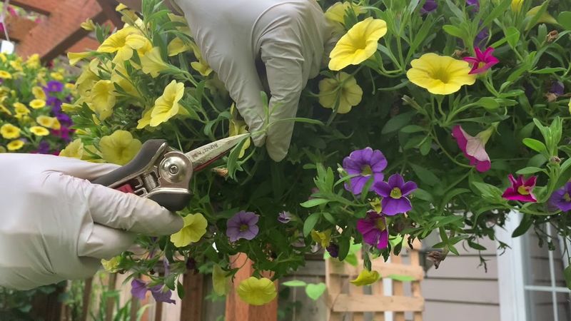 The Right Way to Pinch and Trim