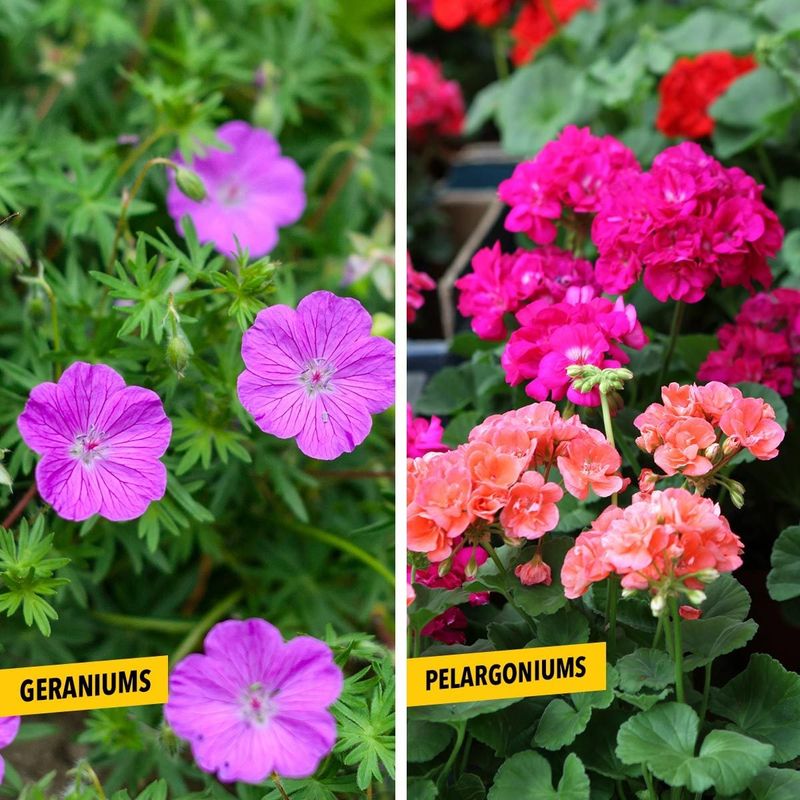 Identify the Plant Before You Change Its Feed