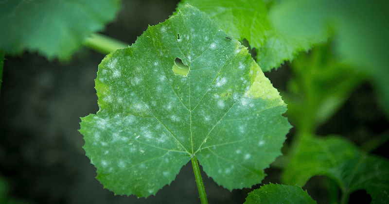 Identify the pattern before blaming the weather