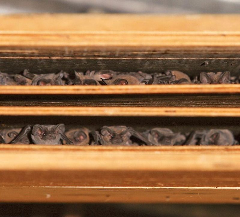In hot parts of North Carolina, prevent the house from overheating In hot parts of North Carolina, prevent the house from overheating