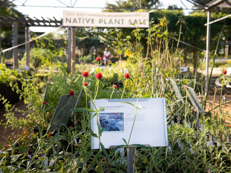 Botanical Garden and Arboretum Plant Sales