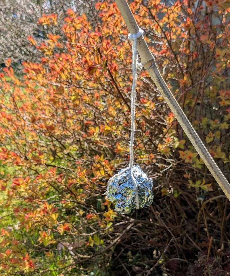 Hang Shiny Objects and Reflective Tape