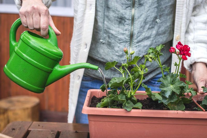 Correct overwatering and excess nitrogen for different reasons