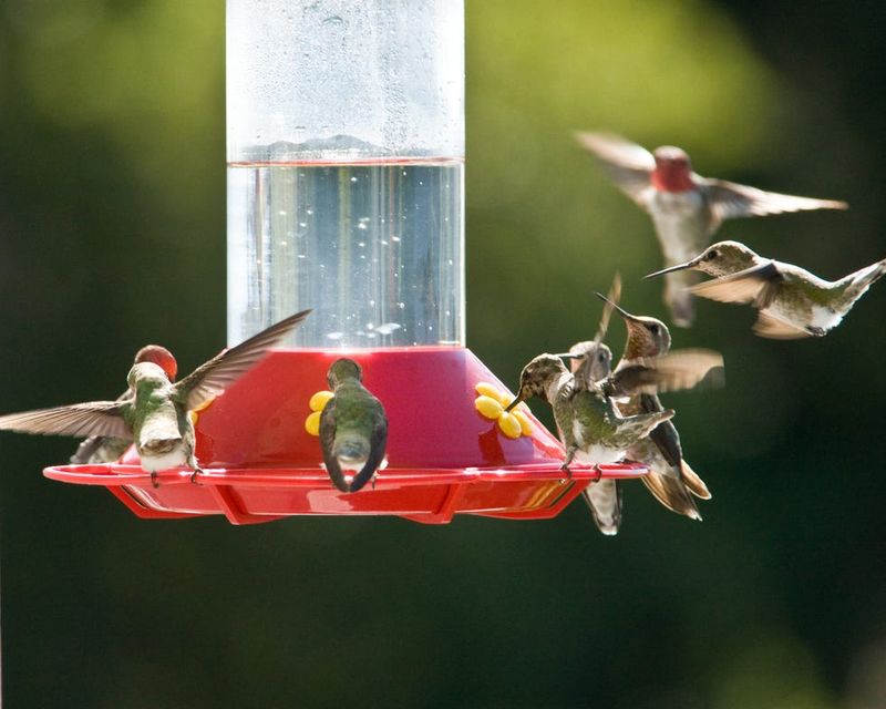Keep the feeder safe while flowers do more of the work Keep the feeder safe while flowers do more of the work