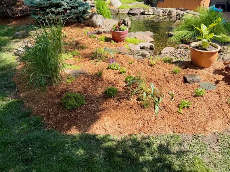 Keep the ground moist without creating mosquito habitat Keep the ground moist without creating mosquito habitat