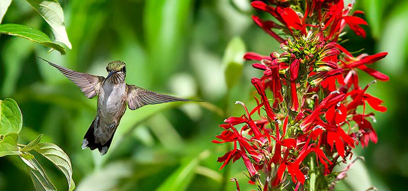 Set boundaries for storms, habitat, and pesticides