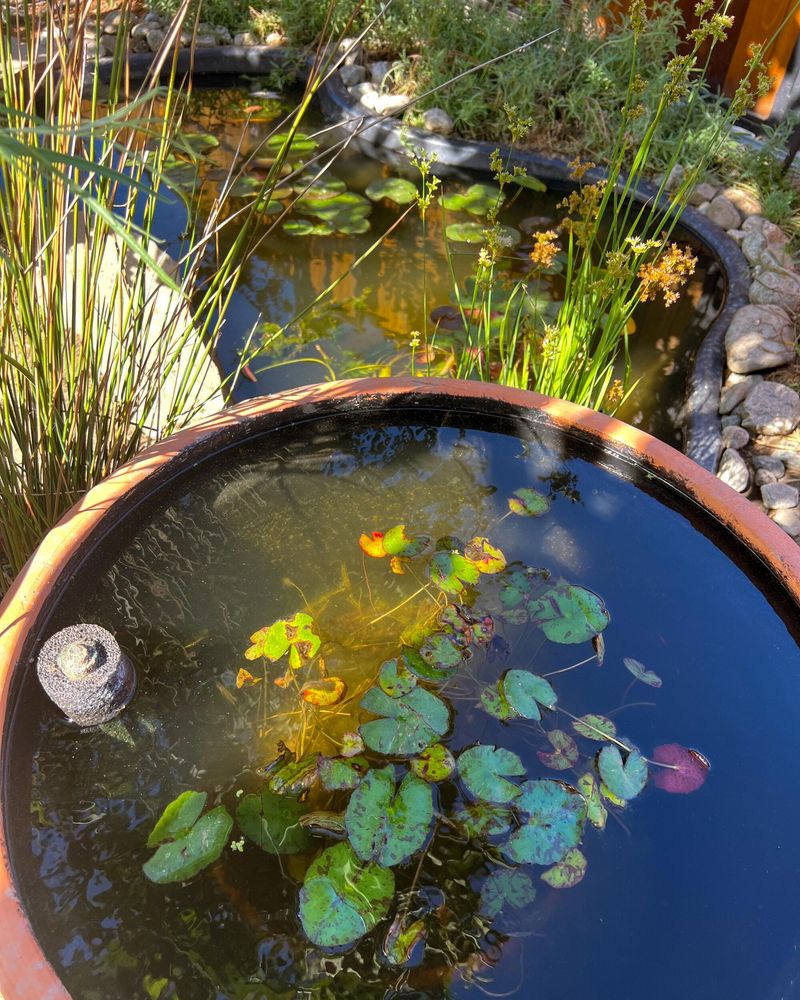 Keep water features, fire safety, and contact risks under control