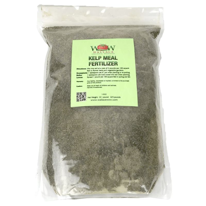 Kelp Meal