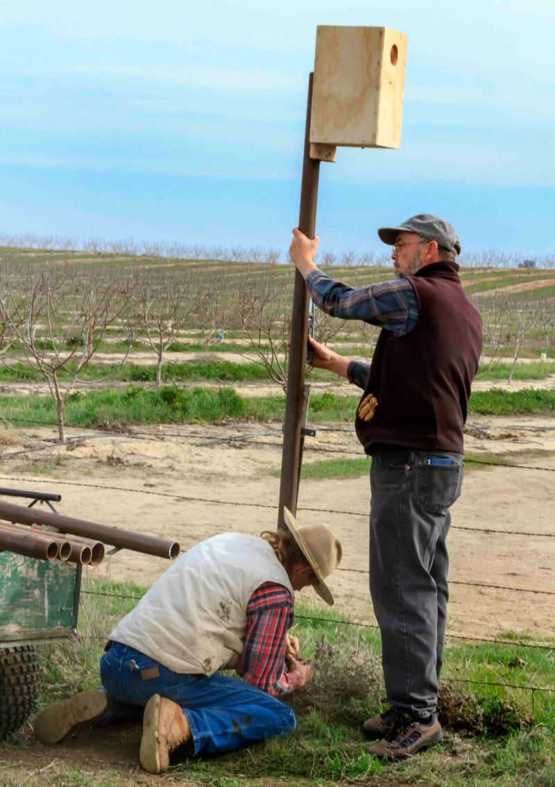 Landscape conditions shape where owls hunt and nest