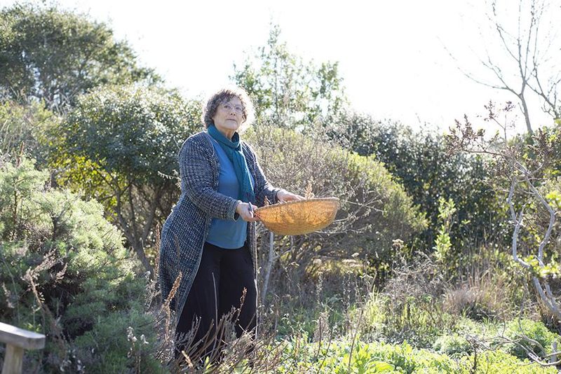 Larner Seeds (Bolinas)