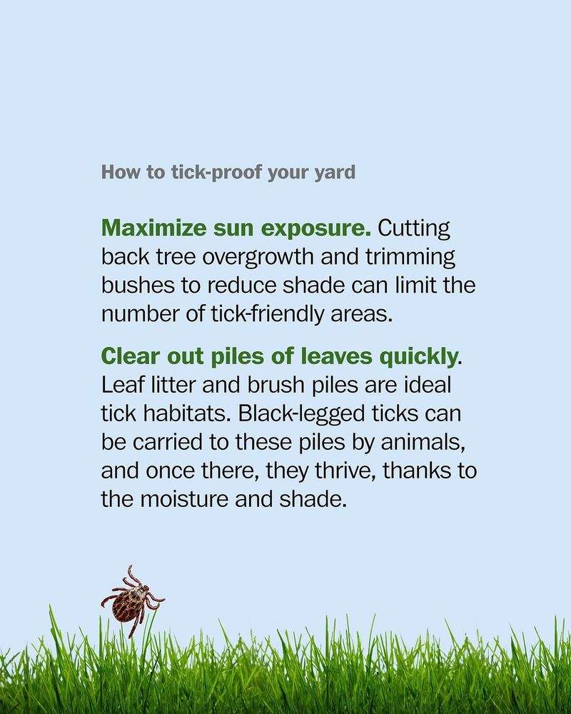 Leaf litter can preserve humid cover where people and pets use the yard