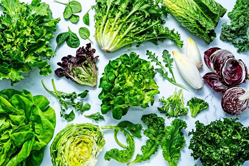 Leafy Greens (Lettuce, Spinach, and Kale) Leafy Greens (Lettuce, Spinach, and Kale)