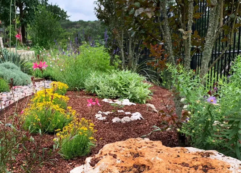 Plant Native Trees and Shrubs
