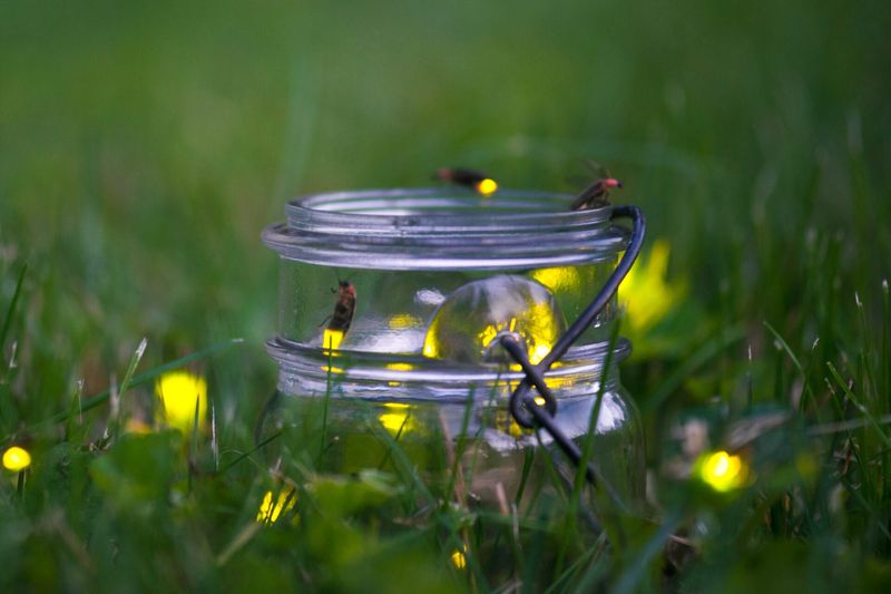 Skip the Pesticides and Lawn Chemicals