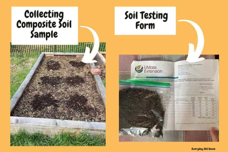Let a soil test decide whether any nutrient belongs Let a soil test decide whether any nutrient belongs