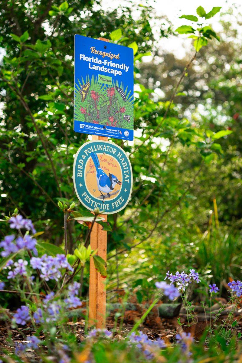 A seed-friendly yard must also support insects