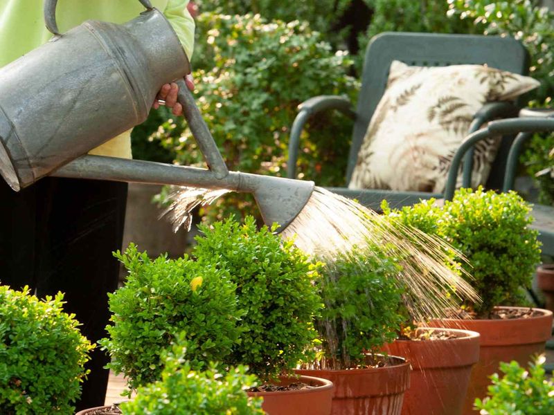 Let moisture checks—not the calendar—control watering Let moisture checks—not the calendar—control watering