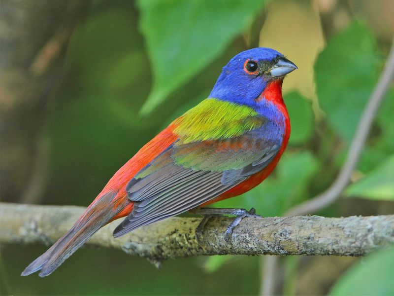 Let the sighting mean what the evidence supports Let the sighting mean what the evidence supports