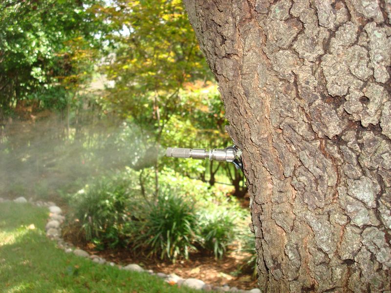 Limit chemical disturbance and skip routine mosquito misting