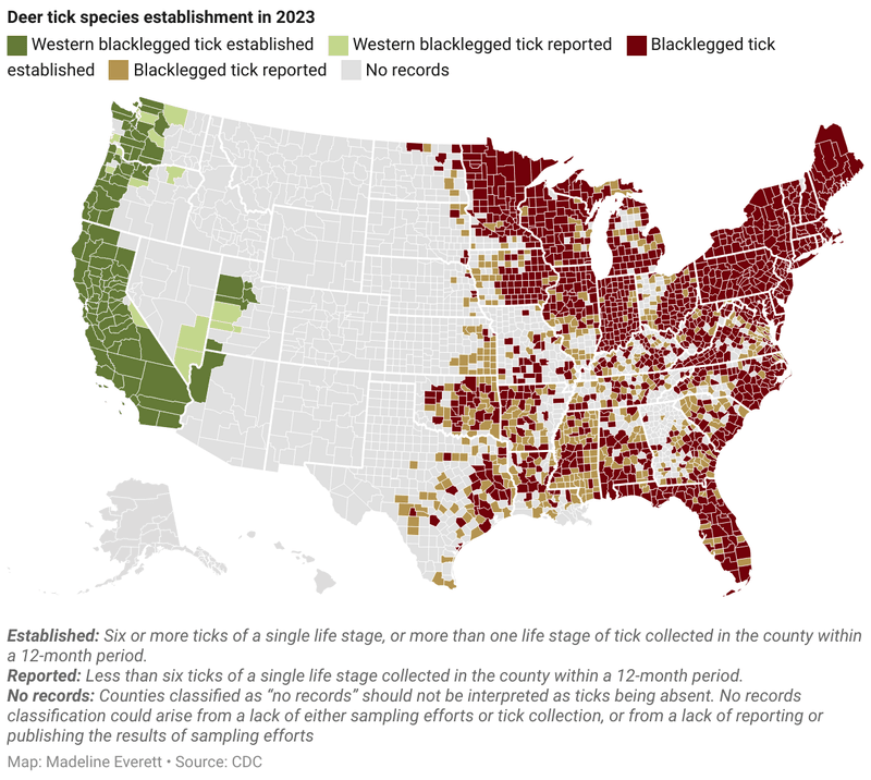 Lizards do not replace California tick precautions Lizards do not replace California tick precautions