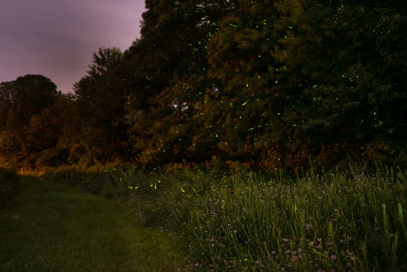 Make changes for the full firefly life cycle Make changes for the full firefly life cycle