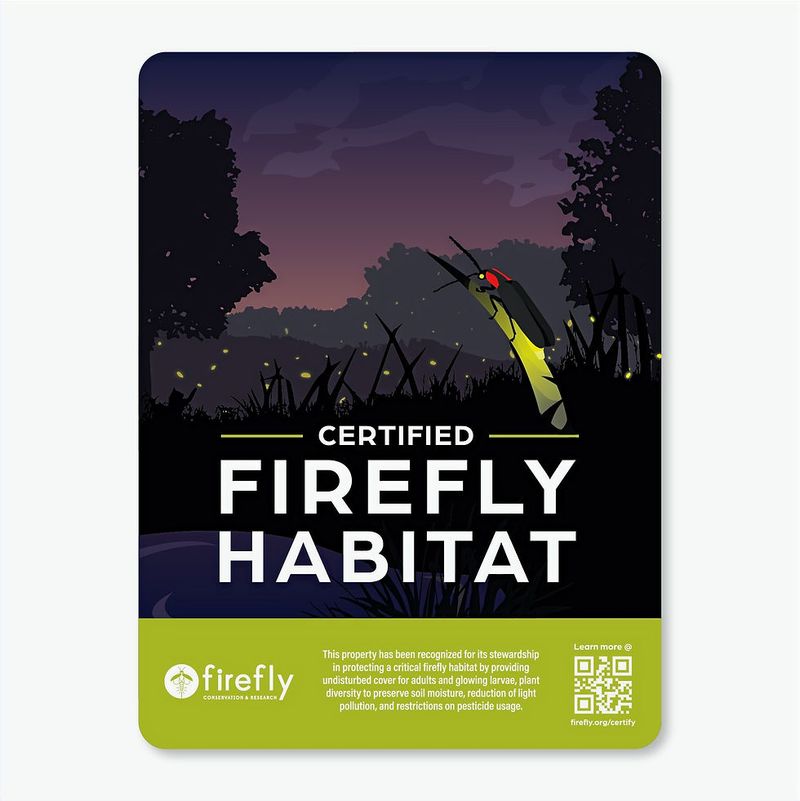 Protect fireflies and the prey they need