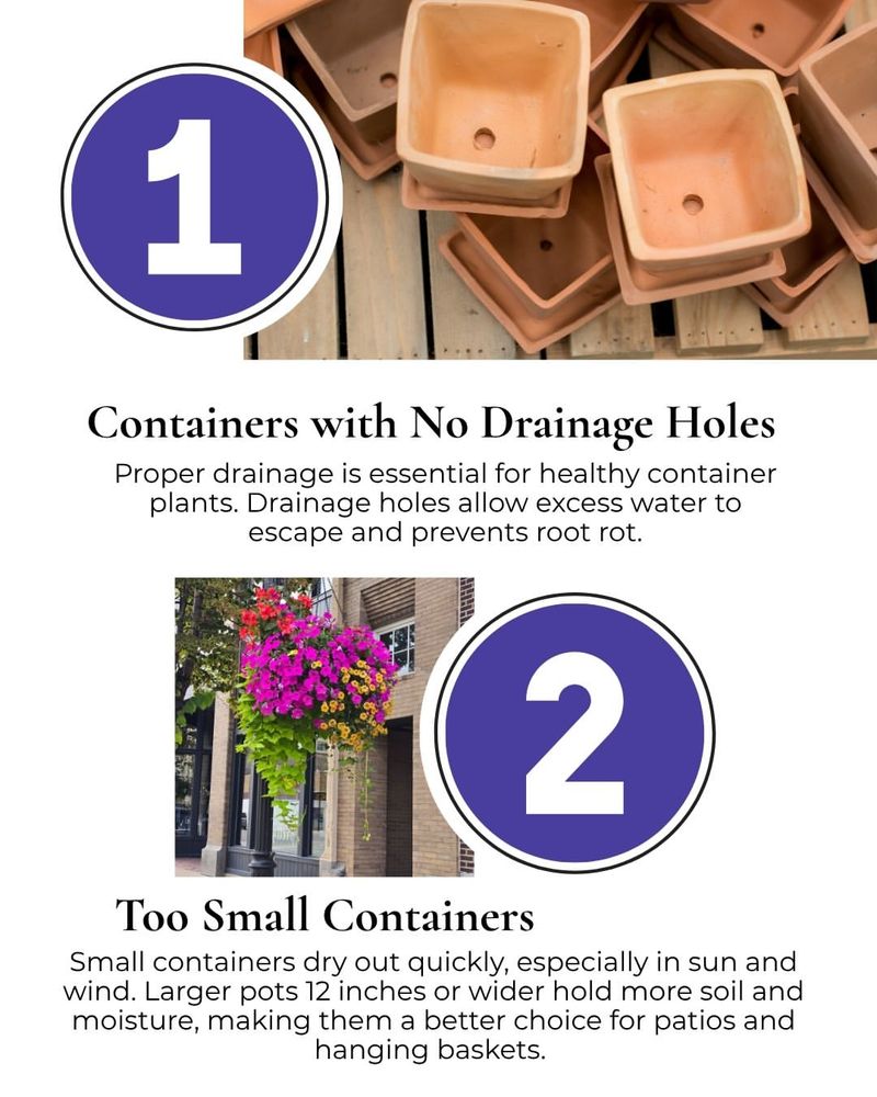 Make sure excess water can escape Make sure excess water can escape